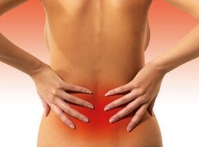 Causes of pain in spits in the lumbar region