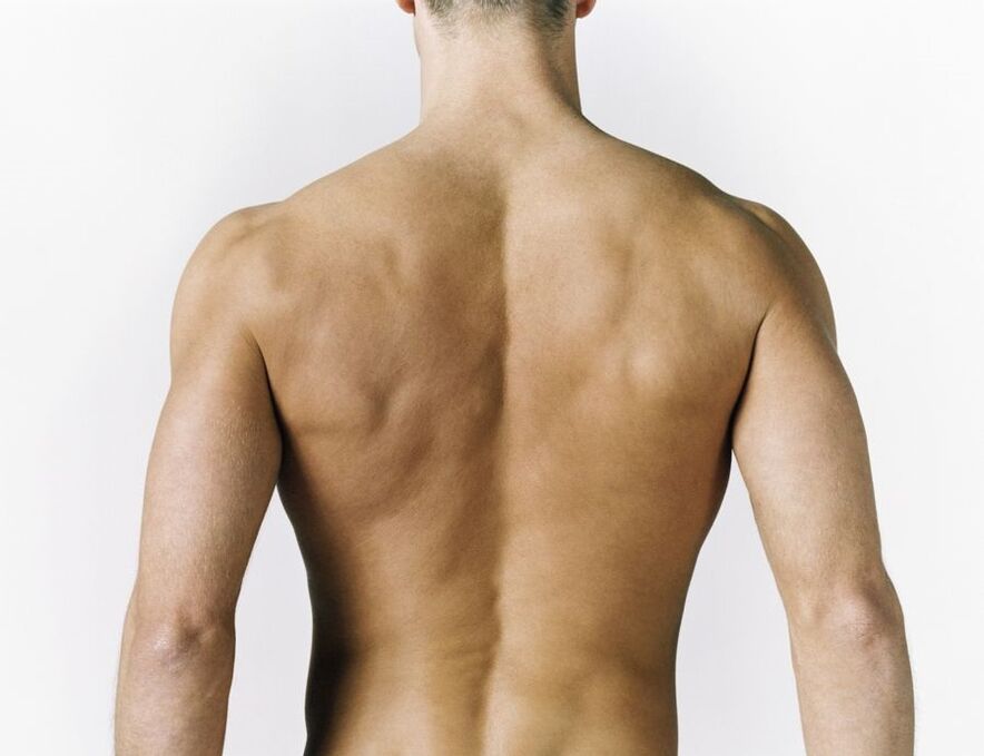 Inflammation of the back muscles as a cause of pain between the shoulder blades